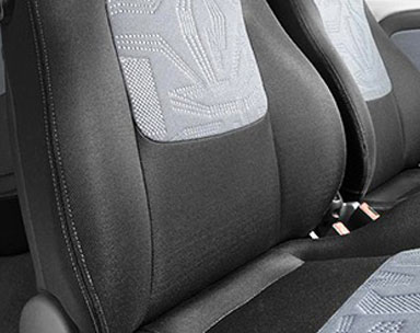 Higienização de Bancos de Couro